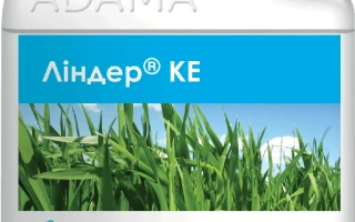 Канистра с фунгицидом Линдер КЕ на фоне зелёной кукурузы