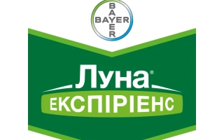 Логотип продукта Луна Экспириенс на зеленом фоне