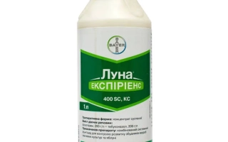 Бутылка фунгицида Луна Экспиринс 400 SC с зеленой этикеткой