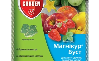 Магніку Буст 80 WР