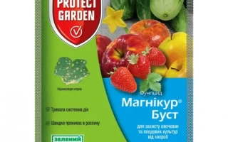 Магникур Буст 80 WР