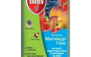 Магникур Гард