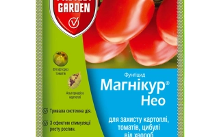 Магнікур Нео 450 SС