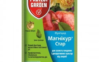 Магнікур Стар 520 SС