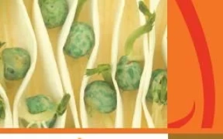 Пакет семян с изображением ростков и логотипом Максим - Максим 025 FS