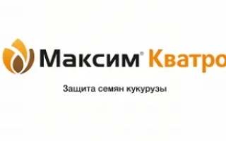 Логотип и название продукта Максим Кватро с текстом Защита семян кукурузы - Максим Кватро 382,5 FS