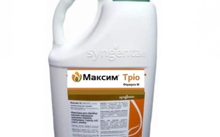 Бутылка с фунгицидом МАКСИМ Тріо - МАКСИМ ТРИО 60 FS