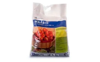 Малвін 80 в.г.