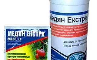 Бутылка и пакетик фунгицида Медян Экстра 350 SC с изображением томатов и картофеля