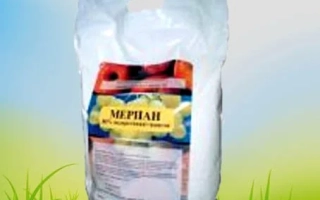 Мешок с фунгицидом Мерпан на фоне травы