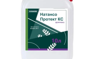 Натансо Протект