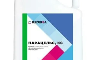 Парацельс, КС