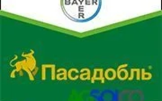 Пасадобль 70 WG