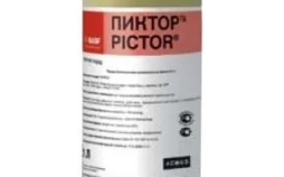 Фунгицид Пиктор в бутылке с этикеткой