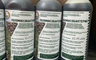 Четыре бутылки с красными крышками и этикетками ПОЛИМИКСОБАКТЕРИН на сером фоне