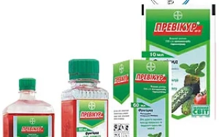 Превикур Энержи