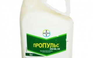 Каністра з фунгіцидом Пропульс 250SE - Пропульс 250SЕ