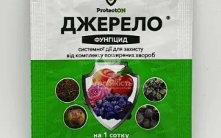 Пакет с фунгицидом ДЖЕРЕЛО, 5 мл, с изображением ягод и грибов - ПРОТЕКТОР