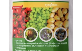 Fungicide Ridomil Gold R in 50g packaging - Radomir-Zorya