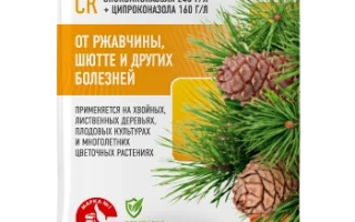 Пакет з фунгіцидом ПАКУРС від компанії August - Ракурс