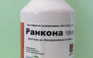 Ранкона 15