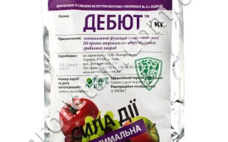 Пакет семян с надписью «ДЕБЮТ» и изображением яблок - Рекорд