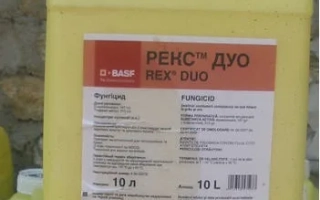 Желтая канистра с фунгицидом РЕКС™ ДУО | REX DUO