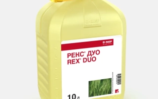 РЕКС ДУО к.с