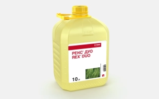 Желтая канистра с надписью REX 300 и изображением зеленого листа - Рекс Ультра