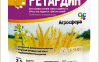 Пакет с фунгицидом Ретардин на фоне пшеничного поля