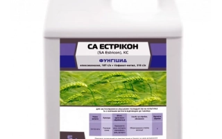 СА Естрикон