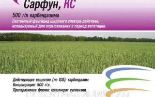 Сарфун, КС — фунгицид для защиты растений от грибковых заболеваний - Сарфун 500 SС