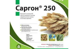 Пакет семян Саргон 250 с изображением колоса пшеницы