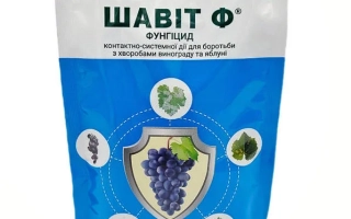 Шавит Ф 72 в.г.