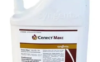 Бутылка с фунгицидом Connect Maxx - Селест Макс 165 FS