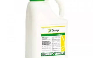 Бутылка с фунгицидом Сетар на белом фоне - Сетар 375 SС, КС
