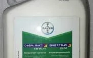 Сфера Макс 535 SС