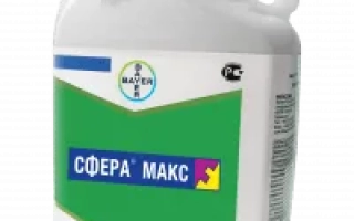 Сфера Макс 535SС