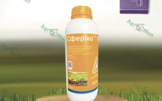 Бутылка с фунгицидом Сферико ТН на деревянной подставке на фоне травы