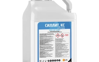 Силіт, КС