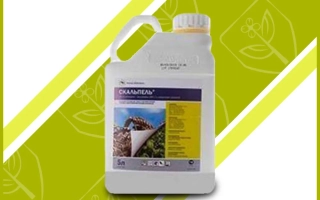 Скальпель 250 к.с.