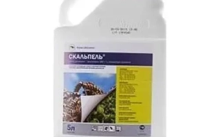 Скальпель к.с.