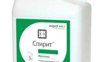 Біла канистра з зеленою кришкою та етикеткою «Спірит» - Спіріт