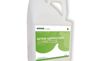 Штеф-ципро-про