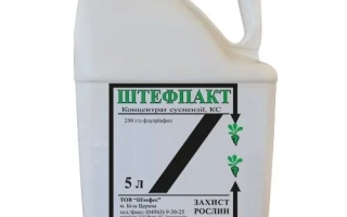 Бутель з фунгіцидом ШТЕФПАКТ об'ємом 5 л