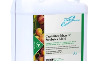 Біла канистра з етикеткою Суперфунгіцид Стробітек Мульти - Стробітек Мульті