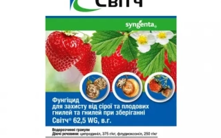 Світч 62,5 WG, в.г.