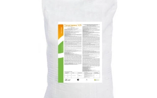 Тачігарен, ЗП