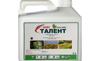 Біла канистра з етикеткою Talent 250 EC - ТАЛЕНТ 250 ЕС