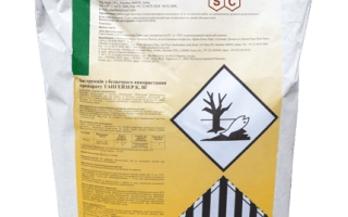 Тангейзер К, ВГ